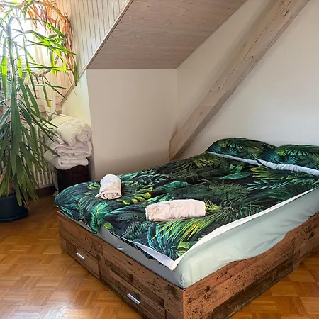 Urban Oasis - Attic In Iconic Langstrasse 아파트