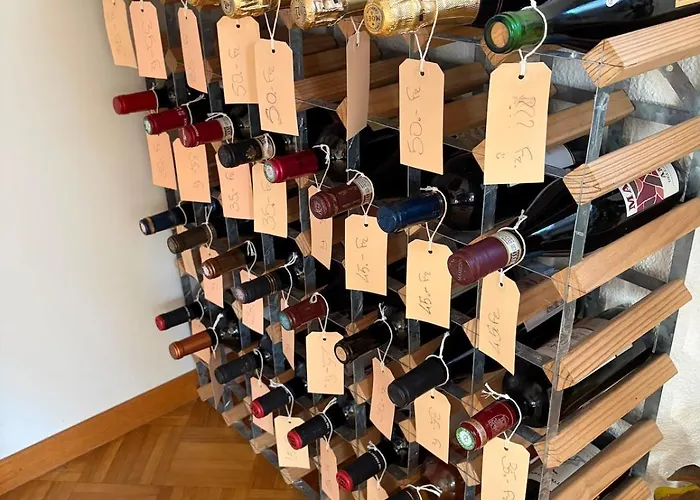 Διαμέρισμα Urban Oasis - Attic In Iconic Langstrasse Ζυρίχη