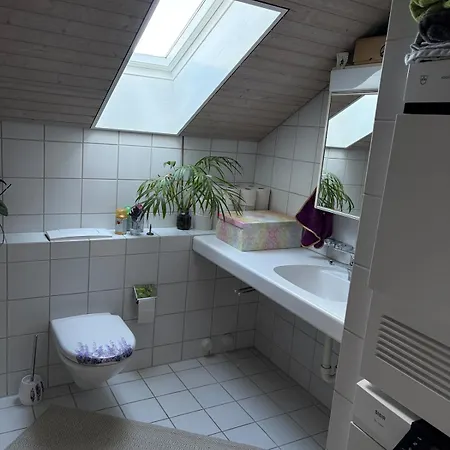 Daire Urban Oasis - Attic In Iconic Langstrasse