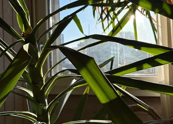 Urban Oasis - Attic In Iconic Langstrasse Daire