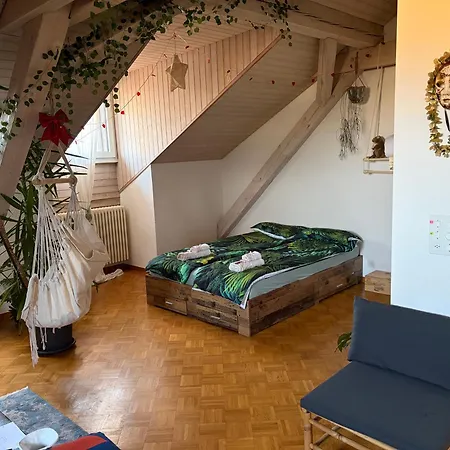 Апартаменты Urban Oasis - Attic In Iconic Langstrasse