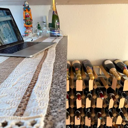 Urban Oasis - Attic In Iconic Langstrasse