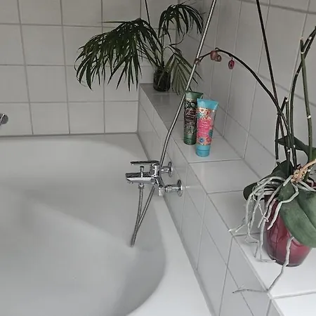 Urban Oasis - Attic In Iconic Langstrasse Апартаменты *